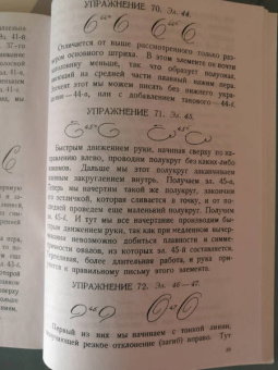 Д. Писаревский: Почерк. Каллиграфия. 113 практических упражнений