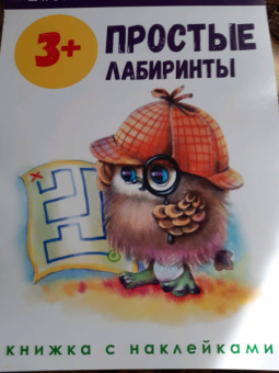 Маврина, Колузаева: Школа маленьких совят 3+. Простые лабиринты