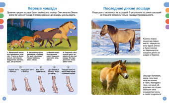 Гийоре, Рейнинг: Лошади