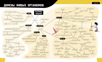 Анна Романо: Тело человека. Самая анатомическая энциклопедия