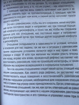 Берт Хеллингер: Любовь Духа. Что к ней приводит и как она удается