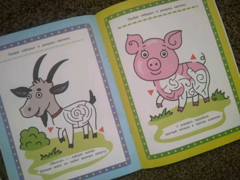 Цветной луг. Книжка-раскраска