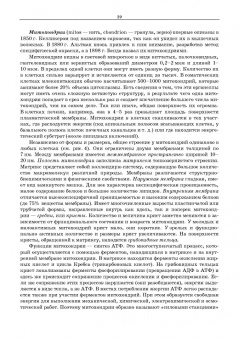 Сидорова, Панов, Семак: Морфология сельскохозяйственных животных. Анатомия и гистология с основами цитологии и эмбриологии