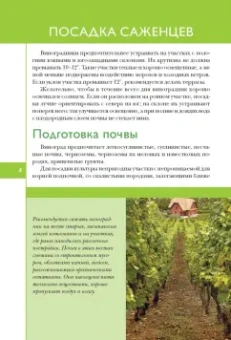 Анна Белякова: Виноград. Секреты выращивания для любого региона