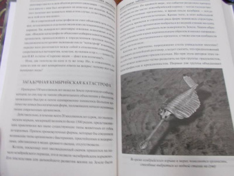 Анатолий Бернацкий: 100 великих тайн экологии