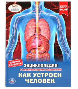 : 305691 Как устроен человек. Энциклопедия А4 с развивающими заданиями. 197х255мм, 48 стр. Умка в ко