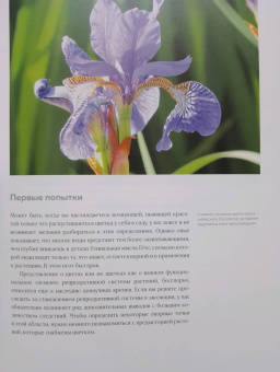 Бруно Кремер: Цветы. Естественная история