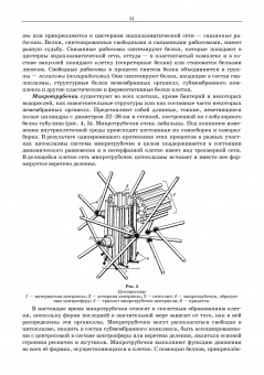 Сидорова, Панов, Семак: Морфология сельскохозяйственных животных. Анатомия и гистология с основами цитологии и эмбриологии