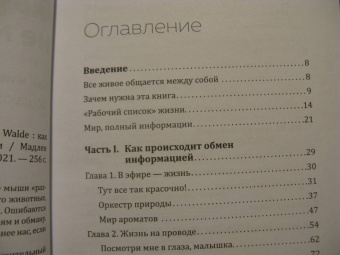 Мадлен Циге: В лесу никто не молчит. Как животные и растения общаются друг с другом