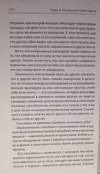 Жан-Клод Амейзен: Реальность времени