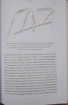 Бернд Хайнрих: Лето. Секреты выживания растений и животных в сезон изобилия