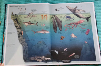 Лавдэй Триник: Океанариум