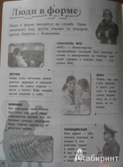 Елена Шейнина: Профессии