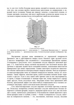 Федотов, Авдеенко, Белозерцева: Ветеринарная маммология. Учебник