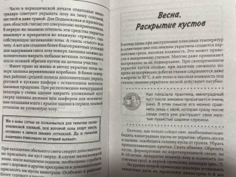 Виктор Жвакин: Виноград, голубика, малина, смородина и другие любимые ягоды. Особенности выращивания своими руками