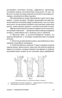 Кривко, Агафонов, Чулков: Питомниководство садовых культур. Учебное пособие для СПО