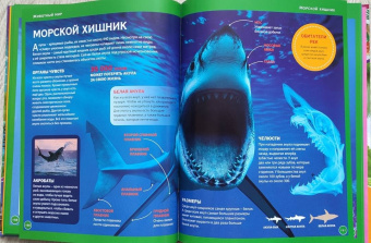 Энциклопедия для девочек обо всём на свете
