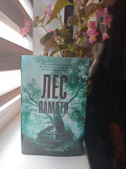 Сэм Ллойд: Лес Памяти