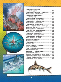 Ликсо, Кошевар: О подводном мире