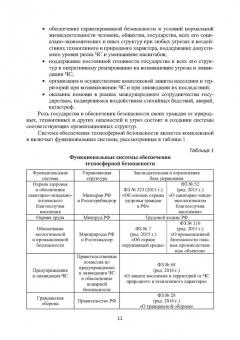 Александр Ветошкин: Правовые основы деятельности аварийно-спасательных формирований. Защита в чрезвычайных ситуациях