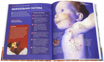 Как устроен человек. Энциклопедия для детей