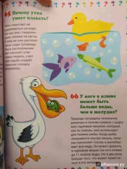 Тамара Скиба: Животный мир. Энциклопедия маленького почемучки