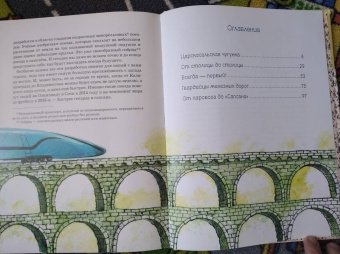 Марина Улыбышева: От паровоза до «Сапсана»