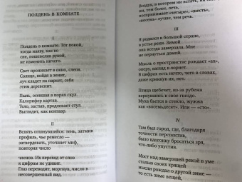 Иосиф Бродский: Урания. Пейзаж с наводнением