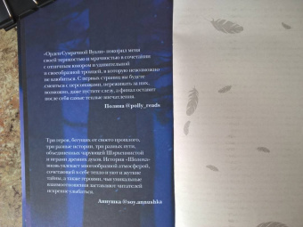 Антонина Крейн: Шолох. Орден Сумрачной Вуали