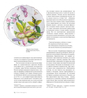 Flora Georgica. Гербарий на фарфоре