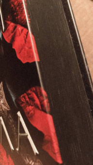 Дженнифер Арментроут: Из крови и пепла