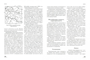 Руденко, Семашко: Олени