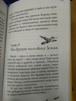 Екатерина Каликинская: Вокруг света на птичьем крыле