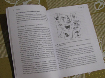Галина Музыченко: Экспериментально-психологическое исследование в психиатрии. Учебное пособие
