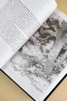 Гейман, Блэк, Янси: Сборщик душ