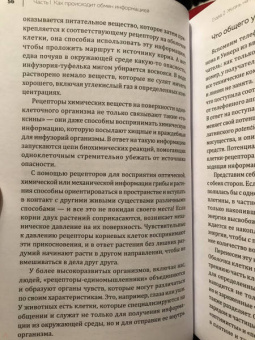 Мадлен Циге: В лесу никто не молчит. Как животные и растения общаются друг с другом