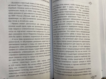 Елизавета Юсуповская: Твой зеленый день. Как прожить 24 часа, не сломав планету