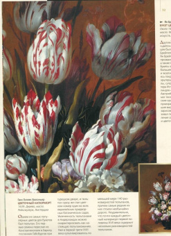 Наталья Василенко: Шедевры натюрморта