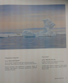 Россия - самая красивая страна. Фотоконкурс 2018