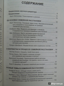 Гунтхард Вебер: Практика семейной расстановки. Системные решения по Берту Хеллингеру
