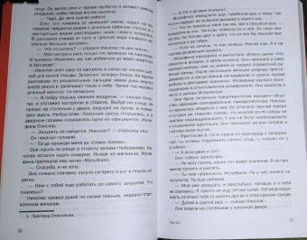 Паскаль Энгман: Огненная земля