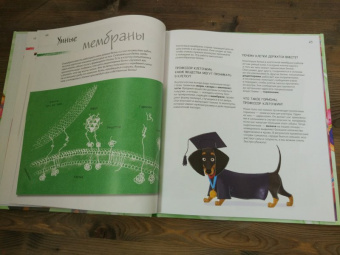 Боэрле, Ланда: Путешествие в мир клетки. Нескучная наука