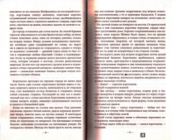 Сергей Малицкий: Скверна