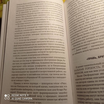 Михаил Любимов: Гуляния с Чеширским котом