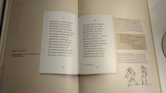 Пушкин, Рожников: Евгений Онегин. Подробный иллюстрированный комментарий