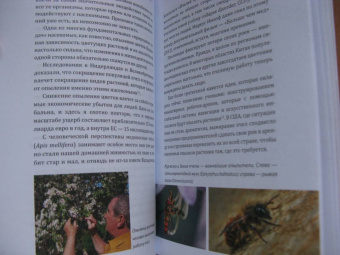 Зегерер, Розенкранц: Великая гибель насекомых. Что это значит и что нам с этим делать
