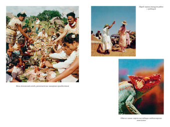 Дэвид Аттенборо: Путешествия на другую сторону света