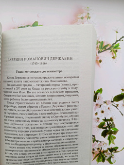 Игорь Сухих: Русская литература для всех. От "Слова о полку Игореве" до Лермонтова. Классное чтение!