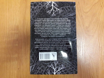 Макс Фрай: Сказки старого Вильнюса VI