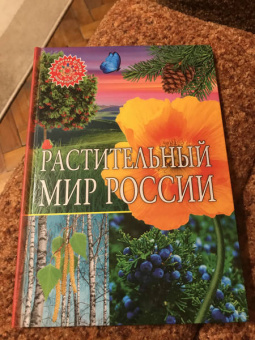Растительный мир России. Популярная детская энциклопедия